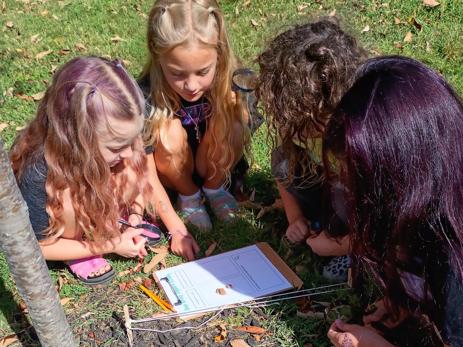 Nature Studies: Sowing the Seeds of Science